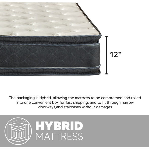 Sapphire sleep marquis arctic pillow outlet top